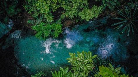 Begini Akses Ke Sungai Kali Biru Raja Ampat Wisata Papua Barat Daya Di