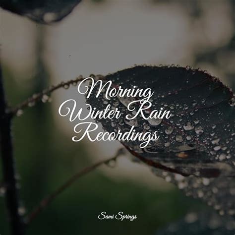 Morning Winter Rain Recordings By Sonido Del Bosque Y Naturaleza