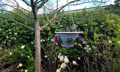 Plantopia Hanging Basket Planter Groupon Goods