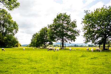 Services Provided by Fletcher and Elgin Funeral Homes 23