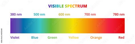 visible light spectrum diagram isolated   white background color