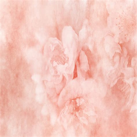 Fine Art Textures Photoshop Textures Flower Textures Floral Etsy