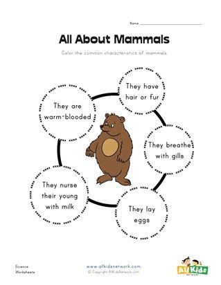 Mammals Characteristics For Kids - Pets Lovers