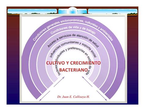 TEMA 4 CLASE 8 MICROBIOLOG A 1 Ameno UDocz