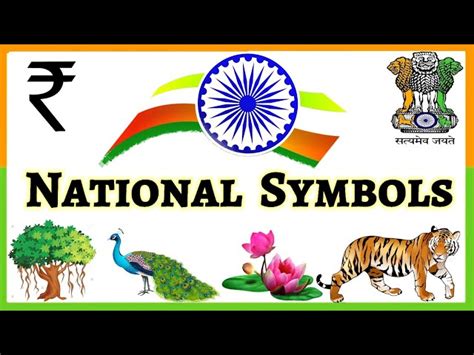 National Symbols Of India For Kids Order Prices | futuros.abrelatam.org