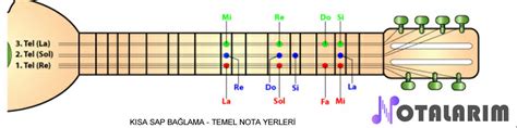 Kısa ve Uzun Sap Bağlama için nota yerleri Notalarım