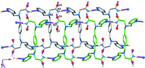 Schematic Representation Of The 2d Supramolecular Network Of The Download Scientific Diagram