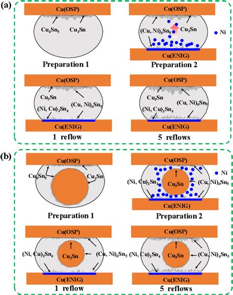 Figure From Collapse Behavior And Interfacial Reaction Of Cu Cored