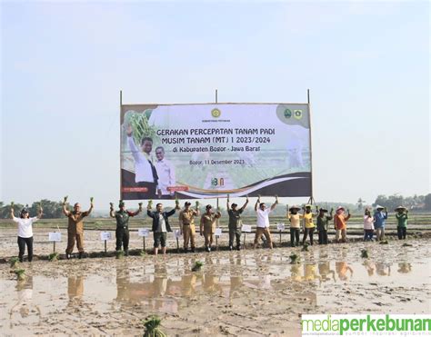 Kementan Lakukan Percepatan Tanam Padi Di Kabupaten Bogor Media