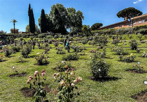 Il Roseto comunale di Roma un luogo magico della città Latitudes