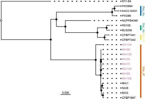 Frontiers Functional And Genome Sequence Driven Characterization Of