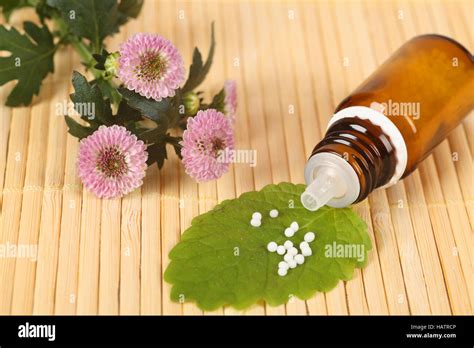 Homeopathy Stock Photo Alamy