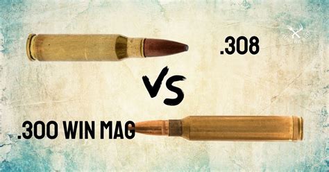 .308 vs .300 Win Mag - Which is better? - eatingthewild.com