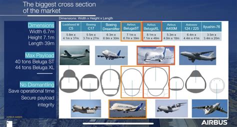 Airbus is setting up a cargo airline with its iconic Beluga aircraft ...