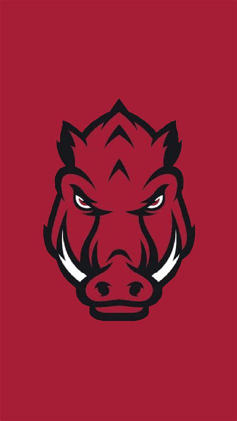 Top More Than Wallpaper Arkansas Razorbacks Super Hot In Coedo Vn