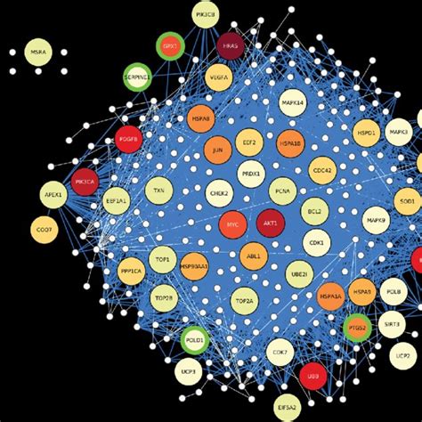 Mapping Of All Known Viral Homologs Of Ageing Associated Genes On The