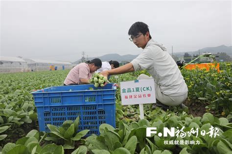 琅岐建设种业创新基地 探索农文旅融合模式乡村振兴福州市农业农村局