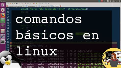 Revista 34 comandos básicos de Linux que todo usuario debe saber