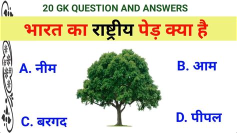 भारत का राष्ट्रीय पेड़ क्या है Gk Gk Questions General Knowledge All