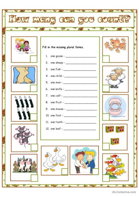 109 Plural Nouns Irregular Plurals English Esl Worksheets P