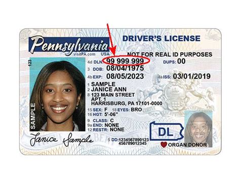 Missouri Drivers License Issue Date Number Adgolf