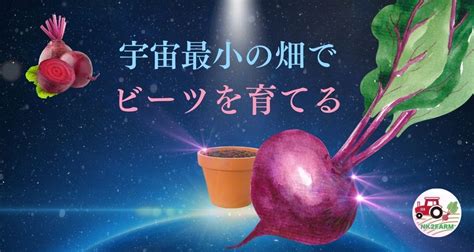 ビーツの講座 北海道産の美味しいビーツや西洋野菜、北海道米ふっくりんこや各種野菜の事なら愛情込めて無農薬栽培しているnk2 Farmへ