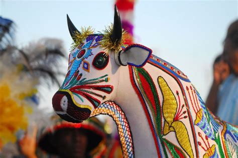 Danças típicas do Brasil uma mistura de culturas Perola Negra