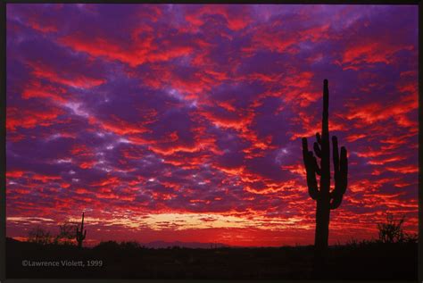 Last Sunset Of The Millennium Dec 311999 What You See Great Shots