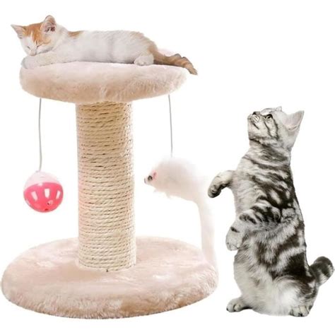 Arbre Chat Petit Pour Chat Arbre Chat Avec Plate Forme En Peluche