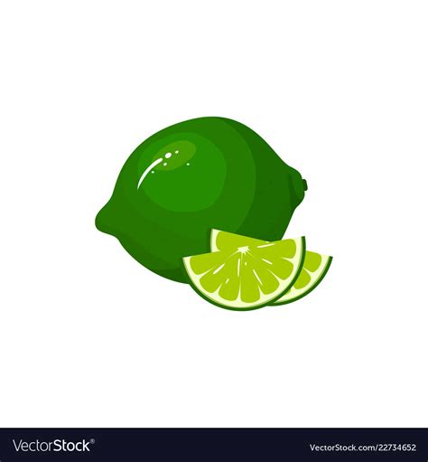 Cartoon fresh lime isolated on white background Vector Image