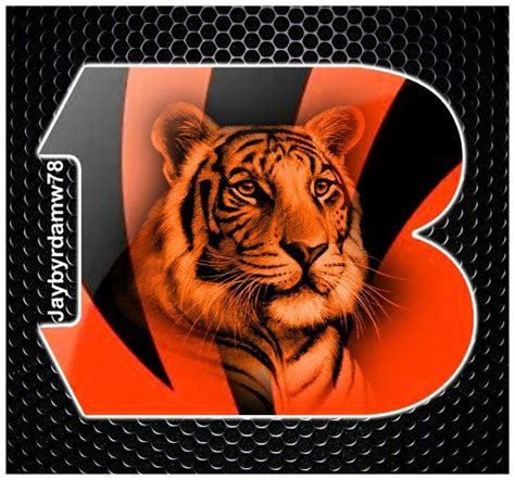 Cincinnati Bengals Who Dey Football Team Sport Images Cincinnati