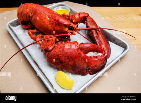 Whole Lobster With Butter And Lemon Stock Photo Alamy