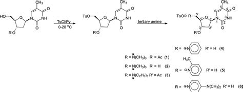 Scheme 1. Synthesis of quaternary ammonium salts from 5'-O− tosyl ...