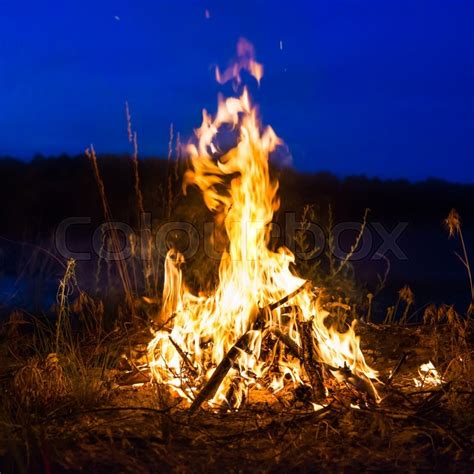 Big campfire at night in the forest ... | Stock image | Colourbox