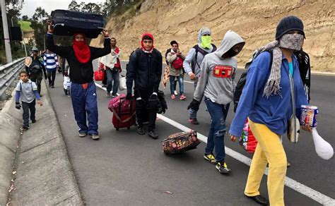 El éxodo Venezolano Una Década De Cambios Y Desafíos