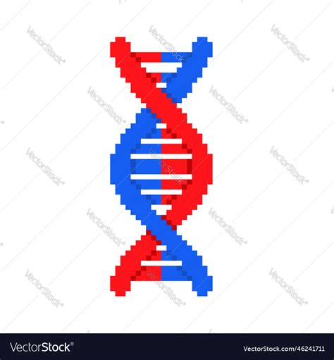 Dna strand pixel art deoxyribonucleic acid Vector Image