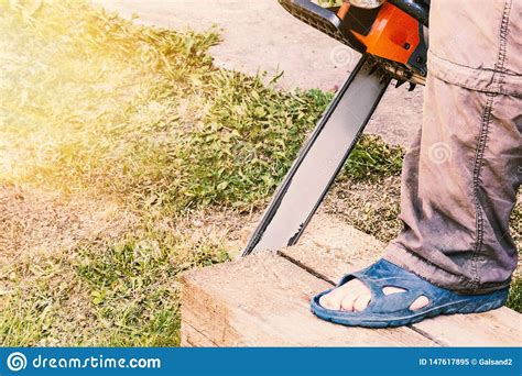 O Homem Corta Uma Madeira Do Pinho Uma Serra De Cadeia Imagem De