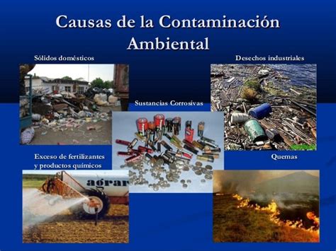 La Contaminacion Ambiental