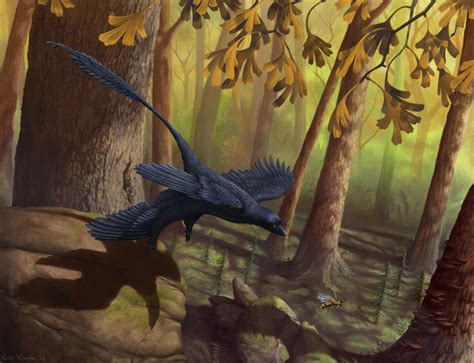 Microraptor