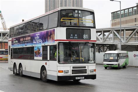 Xtra Pictureview Kmb White Buses