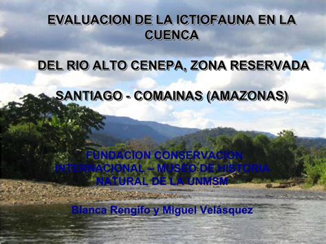 PDF Evaluación de la Ictiofauna en la cuenca del río Alto Cenepa