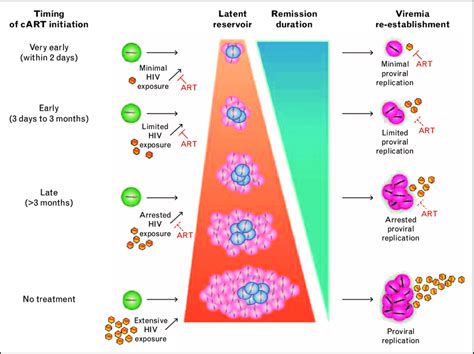 Reservoir Size And Duration Of Hiv Remission Is Directly Affected By Download Scientific