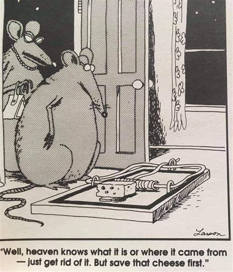 Far Side Cartoons Funny Cartoons Funny Comics Funny Jokes Hilarious