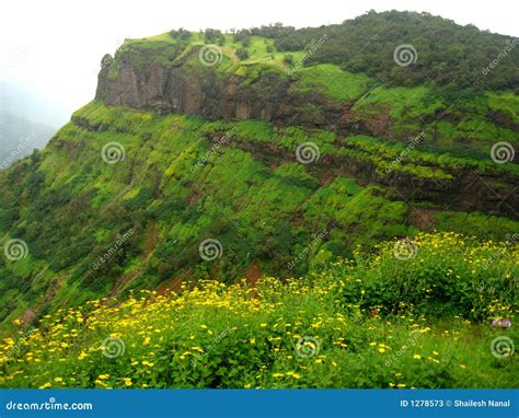 Lush Green Mountain Stock Image Image Of Flowers Colorful 1278573