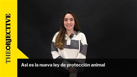 Así Es La Nueva Ley De Protección Animal Youtube