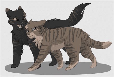 Warrior Cats Lionblaze And Cinderheart Kits