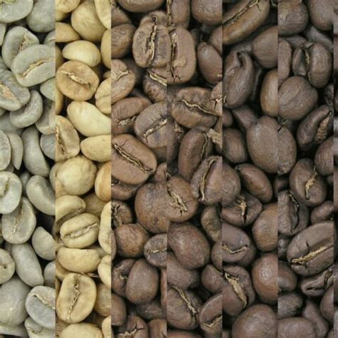 Kenya AA | The Coffee Roaster