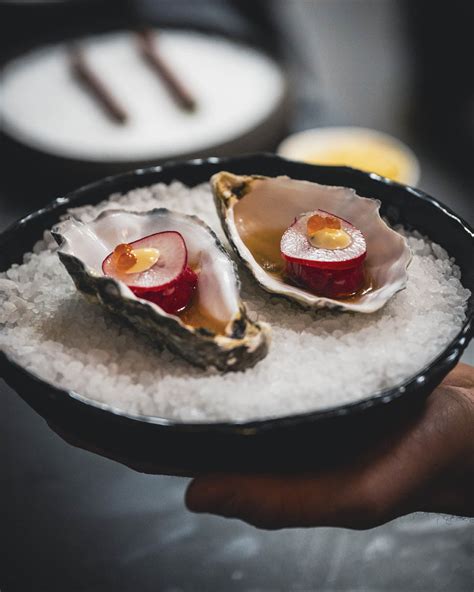 The Salome Melon A Deep Dive Into The Crimsonfleshed Wonder Taking Gourmet Markets By Storm