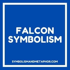 Falcon Symbolism (7 Surprising Meanings)