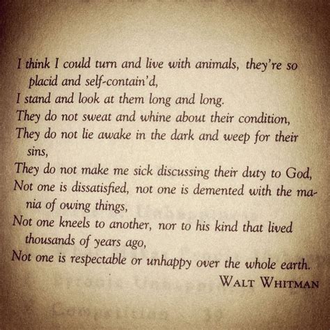 Pin On Walt Whitman